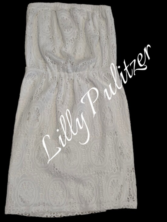 Lilly Pulitzer Dresses & Skirts - Lilly Pulitzer lace south ocean slim crop lined dress Women size 0